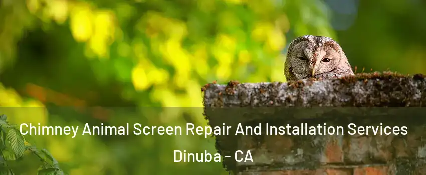  Chimney Animal Screen Repair And Installation Services Dinuba - CA