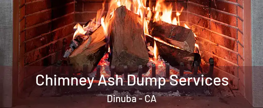  Chimney Ash Dump Services Dinuba - CA