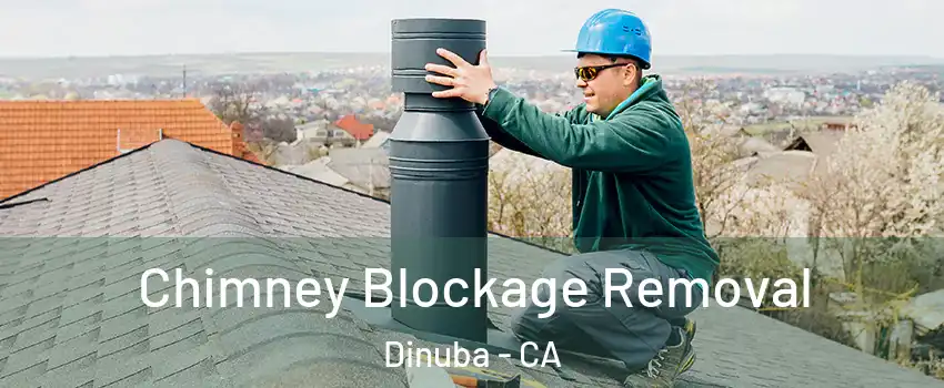  Chimney Blockage Removal Dinuba - CA