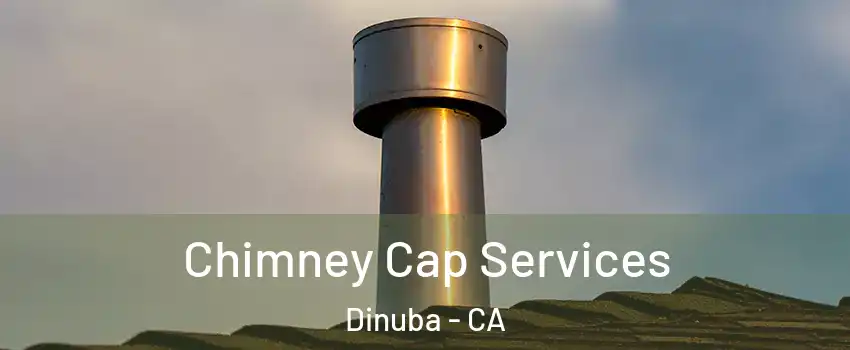  Chimney Cap Services Dinuba - CA