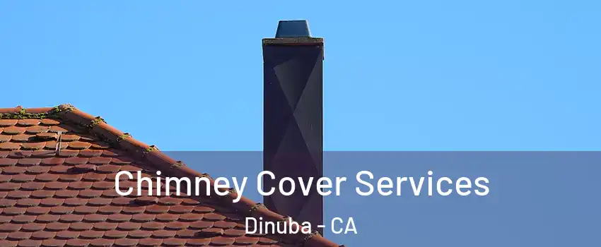  Chimney Cover Services Dinuba - CA