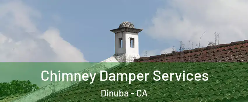  Chimney Damper Services Dinuba - CA