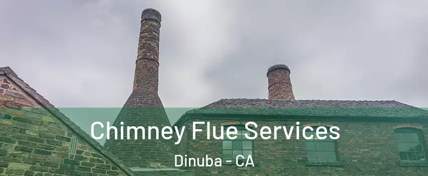  Chimney Flue Services Dinuba - CA