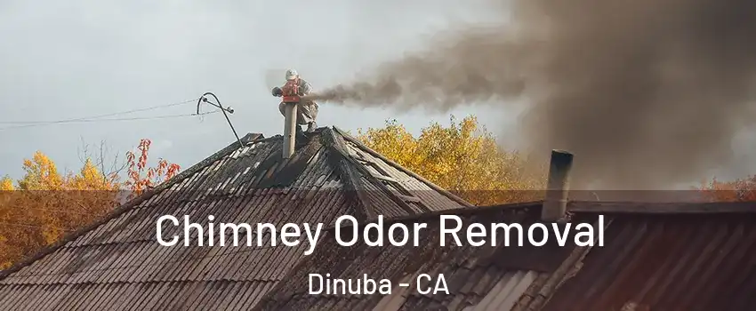  Chimney Odor Removal Dinuba - CA