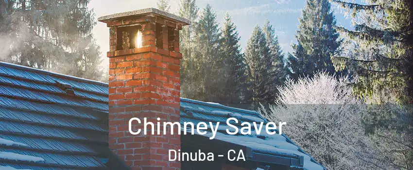  Chimney Saver Dinuba - CA