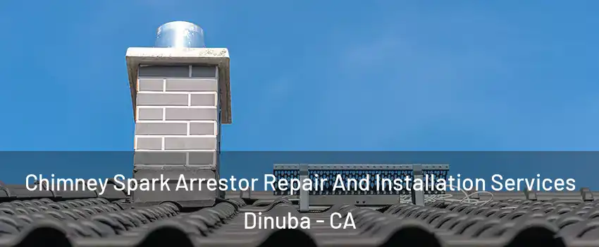  Chimney Spark Arrestor Repair And Installation Services Dinuba - CA