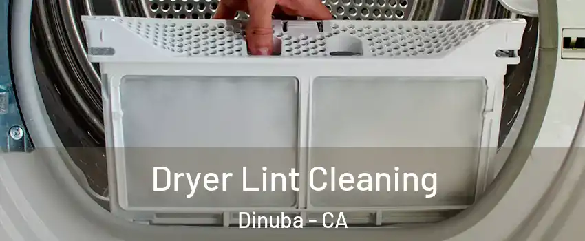  Dryer Lint Cleaning Dinuba - CA