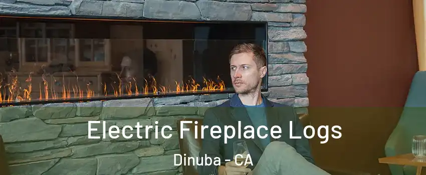  Electric Fireplace Logs Dinuba - CA