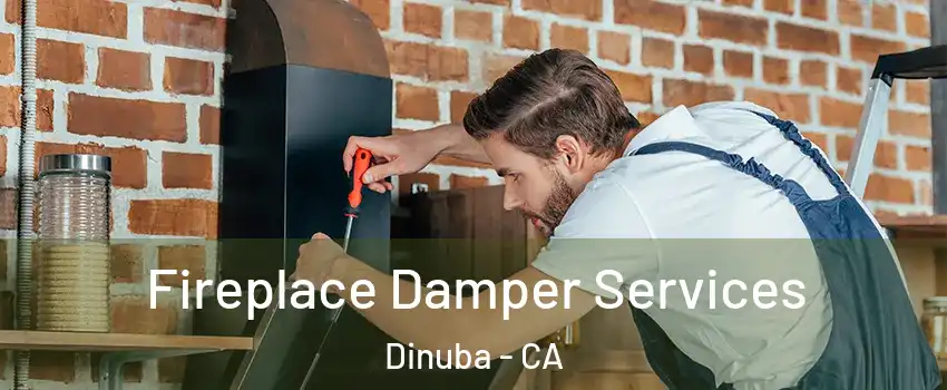  Fireplace Damper Services Dinuba - CA