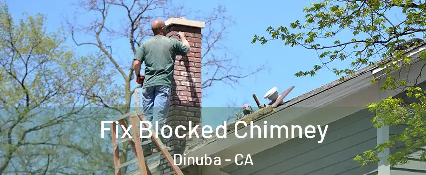  Fix Blocked Chimney Dinuba - CA