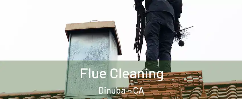  Flue Cleaning Dinuba - CA