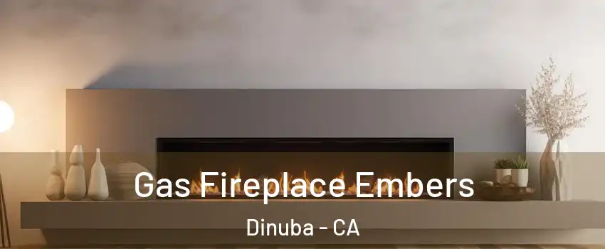  Gas Fireplace Embers Dinuba - CA