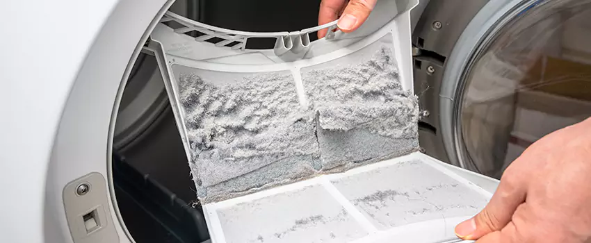 Best Dryer Lint Removal Company in Dinuba, California