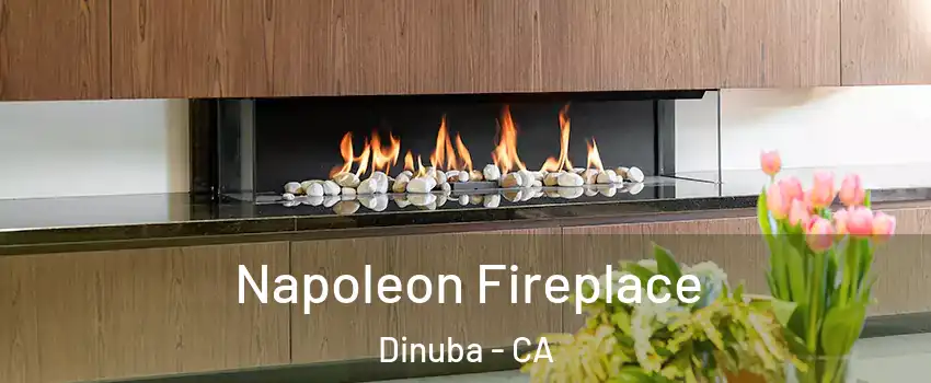  Napoleon Fireplace Dinuba - CA