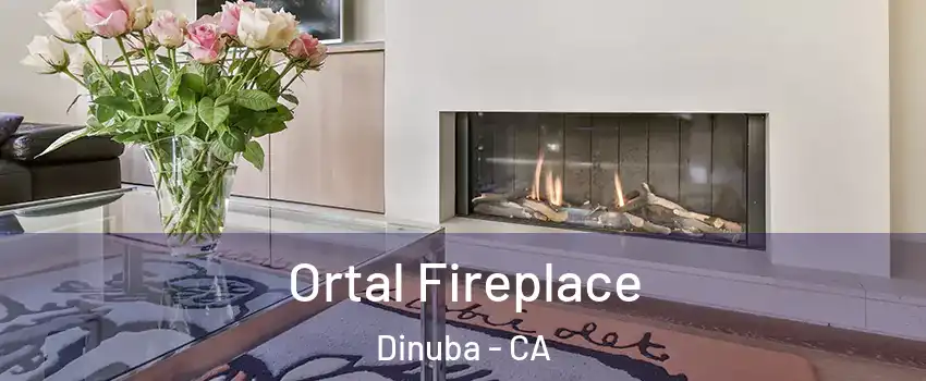 Ortal Fireplace Dinuba - CA