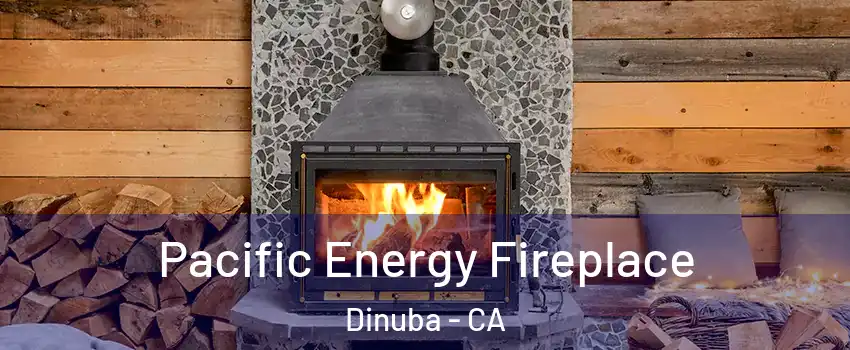  Pacific Energy Fireplace Dinuba - CA